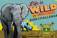 Zoo Challenge